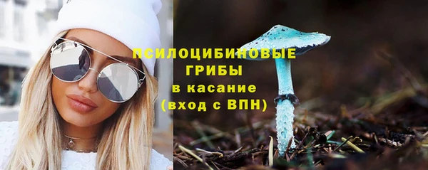 ПСИЛОЦИБИНОВЫЕ ГРИБЫ Зерноград