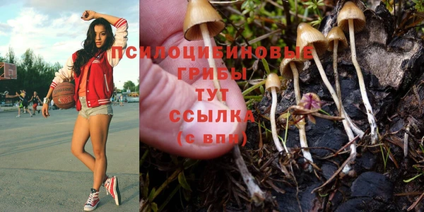 амфетамин Алексин